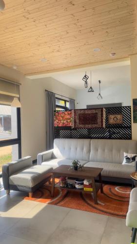 散步的喵 in Jinning