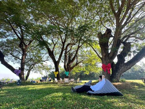 레스토랑, Healstay Hostel in 위앙 사