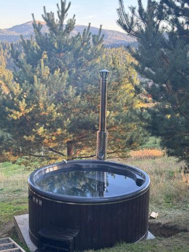 Sky Space Slavske Котеджі в горах з теплим басейном (Sky Space Slavske Котеджі в горах з теплим басеином) in Slavske