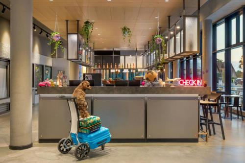 Moxy Hamburg - Finkenwerder, Hamburgo (foto 7)
