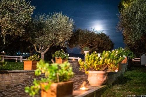 景觀, La Vista Agriturismo Boutique in 阿爾巴諾拉齊亞萊