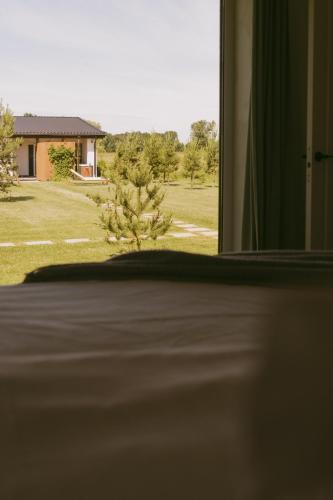 Viesnīcas āriene, PAMIŠKĖ BOUTIQUE SPA (PAMISKE BOUTIQUE SPA) in Žalgiris