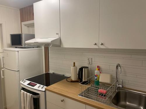 Quiet and peaceful apartment, close to everything in Kvaloysletta
