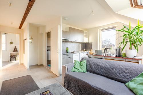 Charmant appart près Europa-Park Rulantica 30 min - Location saisonnière - Erstein