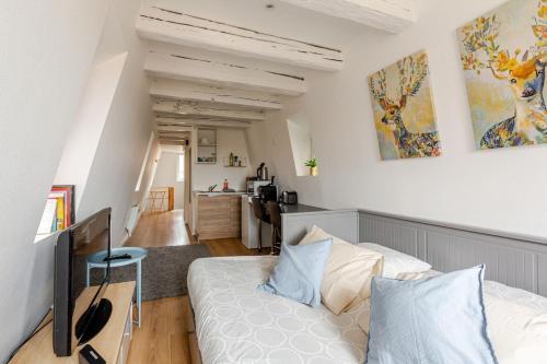 ** appartement cathédrale Strasbourg centre**, Strasbourg