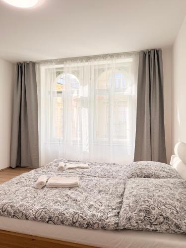 Apartment Old Town Square, Praga (foto 10)