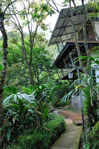 Solitude Munnar - Tree house, Munnar (fotografie 8)