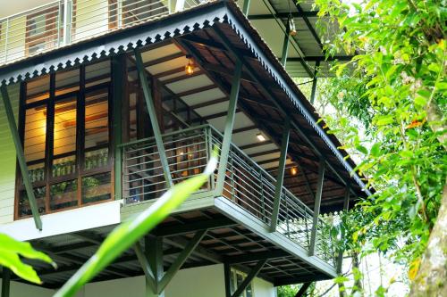 Solitude Munnar - Tree house, Munnar (fotografie 2)