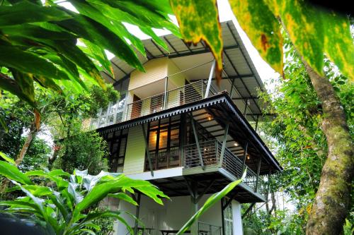 Solitude Munnar - Tree house, Munnar (fotografie 6)