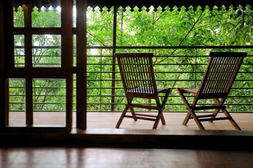 Solitude Munnar - Tree house, Munnar (fotografie 10)