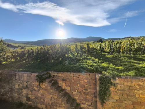 Gîte Au Pied Des Vignes gîte à louer Wettolsheim