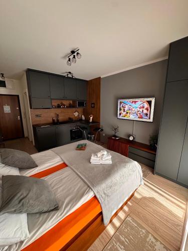 Apartmani Viver Vrnjačka Banja - Apartment - Vrnjci