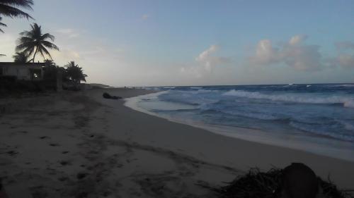 La Familia Guest House and Natural Farm – Port Antonio