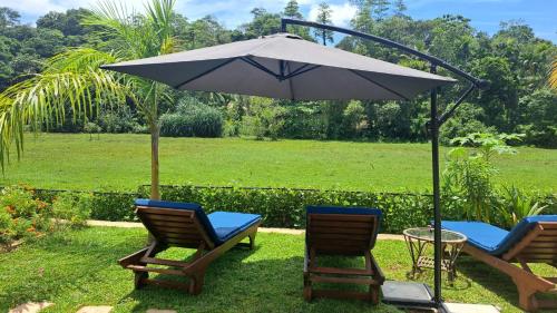 Garden, Maggona Boutique Cottages in Beruwala