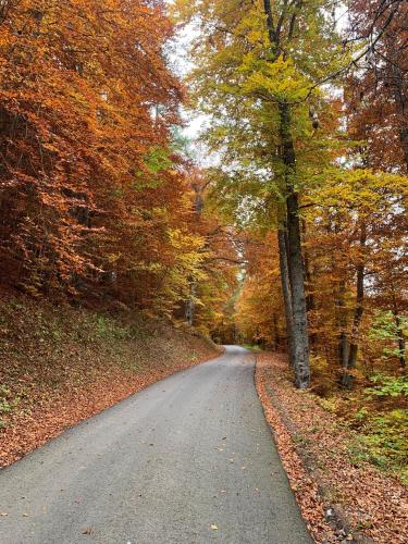 Gîtes les COMBES