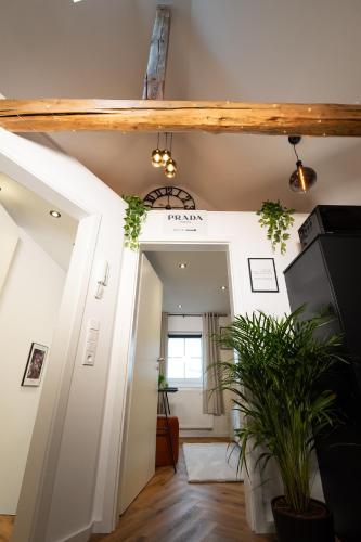 Food and beverages, Lume35 in Hachenburg