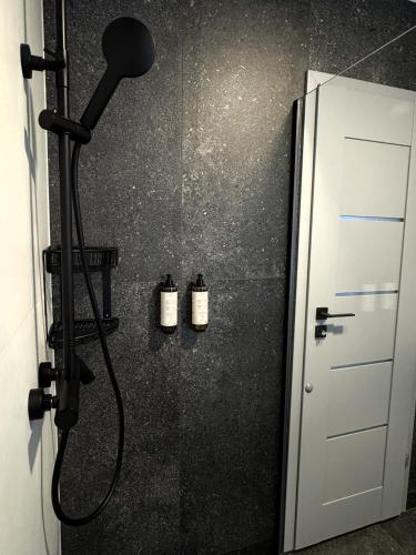 Zuhanyzó, Central Apartment in Zetelaka