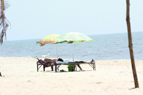 Marari Nest Beach Homestay