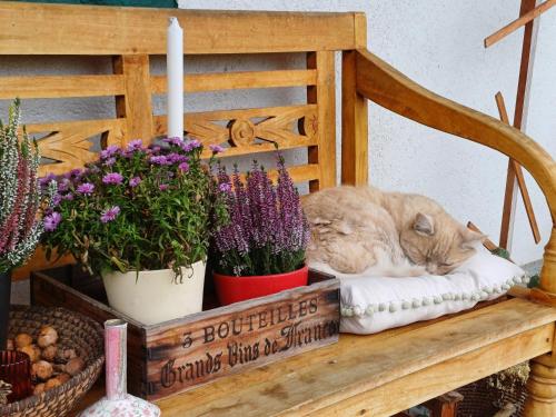 Blutenstockl in Loipersdorf