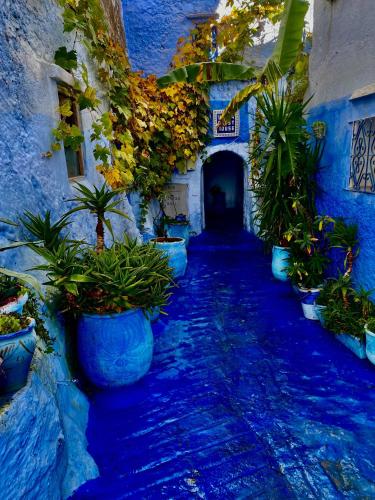 Usha Guest House in Chefchaouen