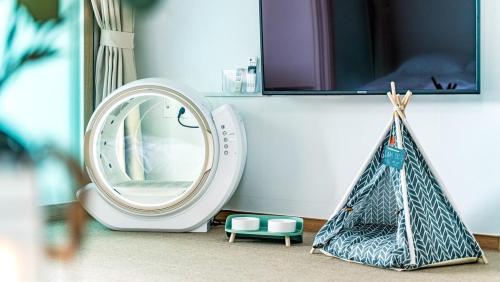 Glamdog Dog Pension Tongyeong Branch in Myeongjeong-dong