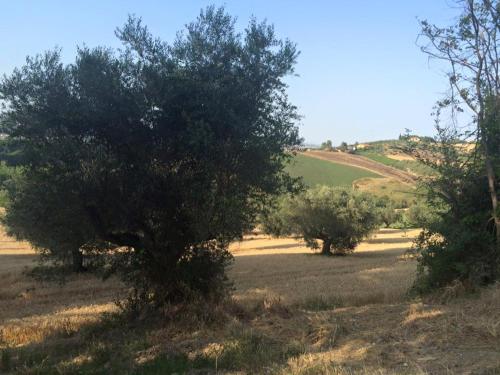 Azienda Agricola Perconti