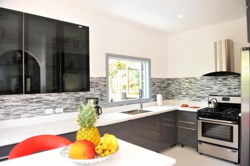 สวน, ONE LUXE JAMAICA VILLA with private pool, modern interior and secluded in โอโค ริโอส