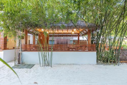 สวน, Ostrov Beach in หมู่เกาะมัลดีฟส์