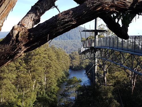 Tahune AirWalk Cabin and Lodge