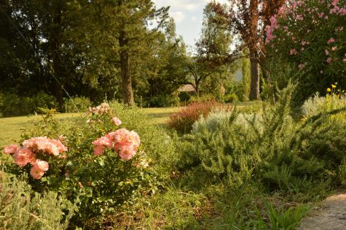 Agriturismo Riparossa