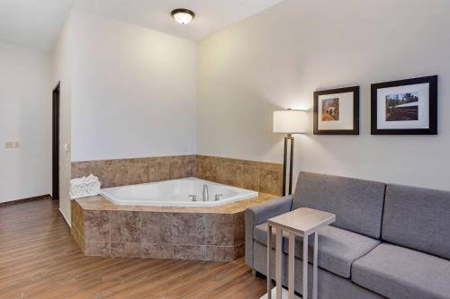 Comfort Inn & Suites Sayre - image 6