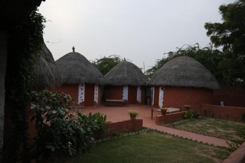 Chhotaram Prajapat's Homestay - 정원