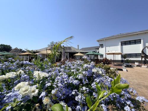 10 on Pauling Hotel Bulawayo in บูลาวาโย