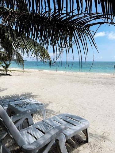 苏梅岛 Samui Camping Farm 2星级 民宿 泳池