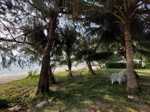 苏梅岛 Samui Camping Farm 2星级 民宿 设施