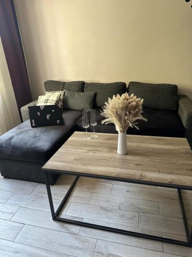 Comfy & sunny, Erevan (foto 8)