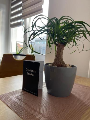CityLight Studio, Breslau (Foto 8)