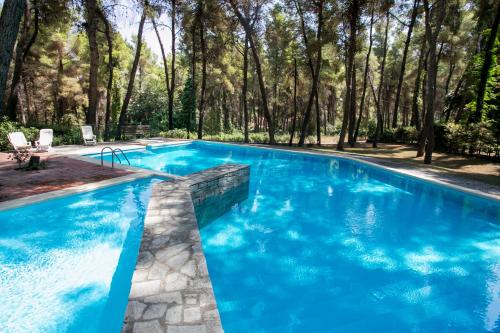  Villa Kallisti in Sani in Sani Beach