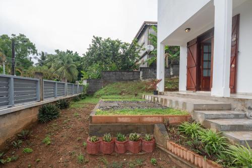 puutarha, La Félicité - Studio climatisé avec jardin (La Felicite - Studio climatise avec jardin) in Capesterre-Belle-Eau