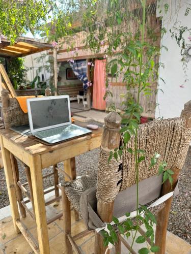정원, Cozy 1BR Bungalow with Kitchen in Eco Garden Nature Escape in 리아드 에살람