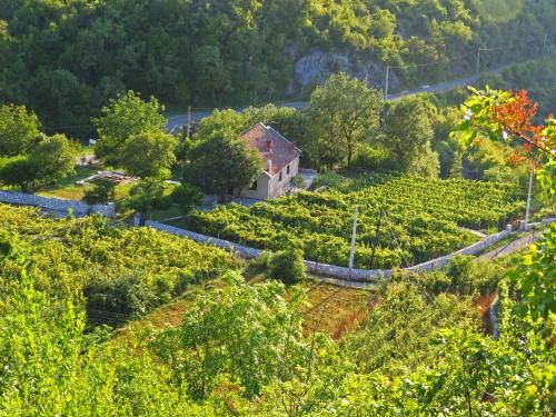 Estate & Winery San Duyevo, Rijeka Crnojevića (fotografie 7)