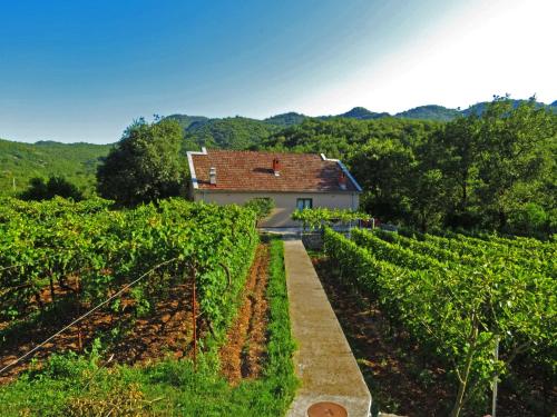 Estate & Winery San Duyevo, Rijeka Crnojevića (fotografie 5)