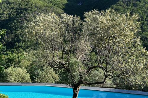  1 Bed Cottage Sleeps 4 Private Garden - Pool in Colletta