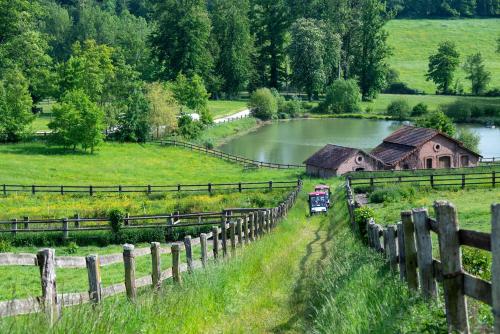 Навколишнє середовище, Cité Pontavice du Haras national du Pin (Cite Pontavice du Haras national du Pin) in Silly-en-Gouffern