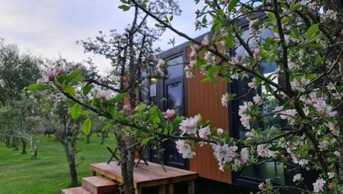 Applewood Cabin 2 by Tiny Away in هيروود