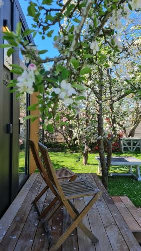 Applewood Cabin 2 by Tiny Away in هيروود