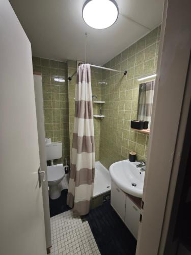 Einzimmerappartment München Solln, Munich (photo 4)