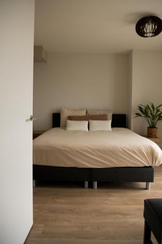 Suite Vuurtoren Zeeland in Tholen
