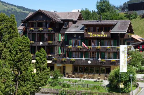 Hotel Edelweiss - image 10