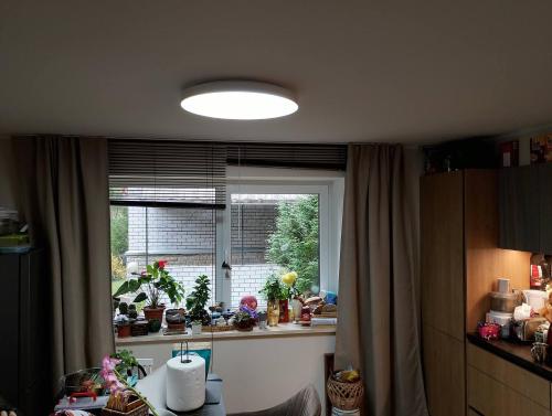 Villa Professor, Tallin (foto 9)